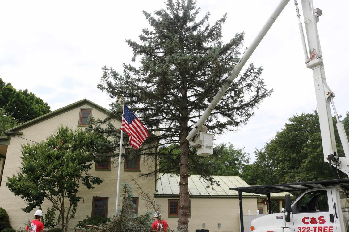Aerial Lift Services — Springfield, OH — C&S Tree Service Center