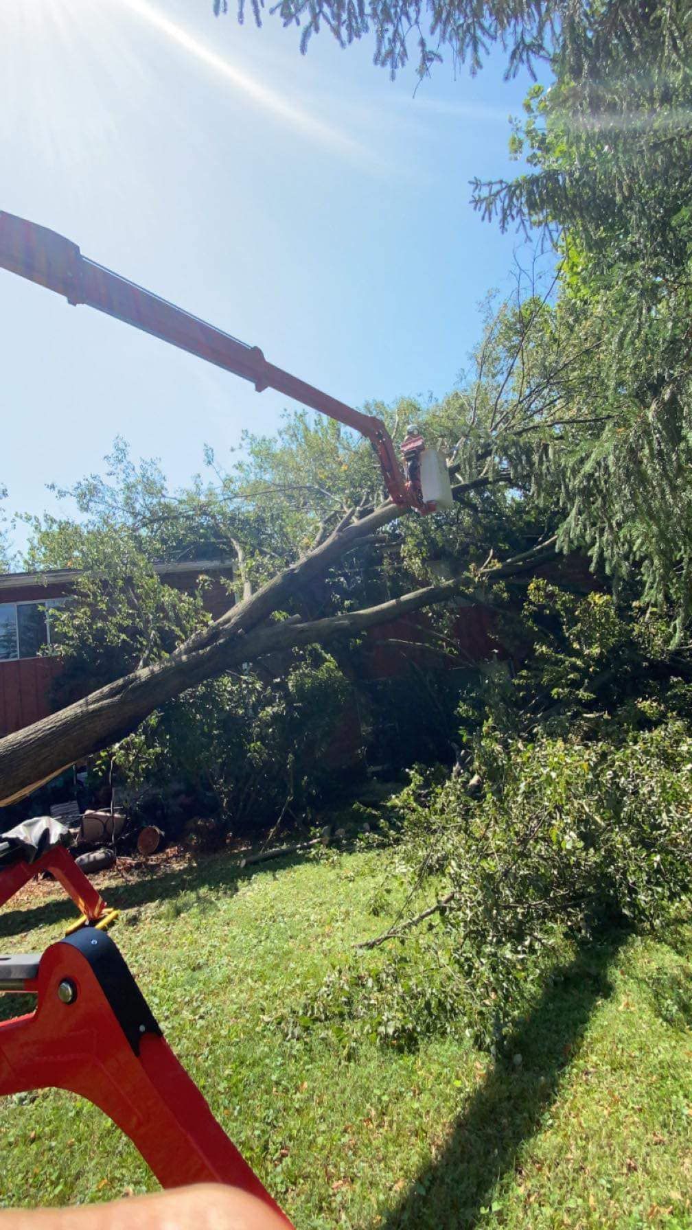 Tornadoes Damage — Springfield, OH — C&S Tree Service Center