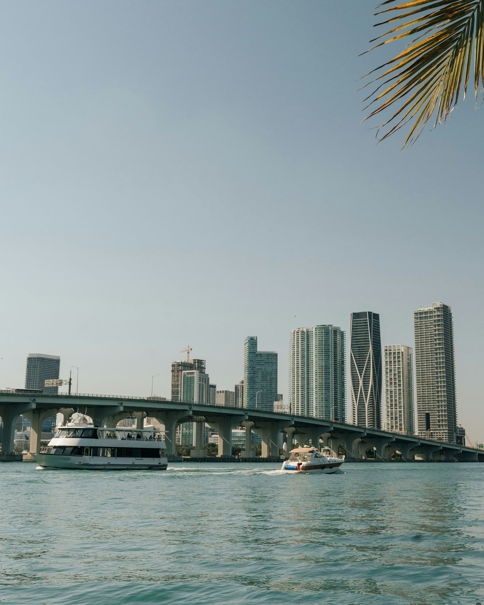 Boats on water in front of a city skyline with a bridge, palm tree, and clear sky.
