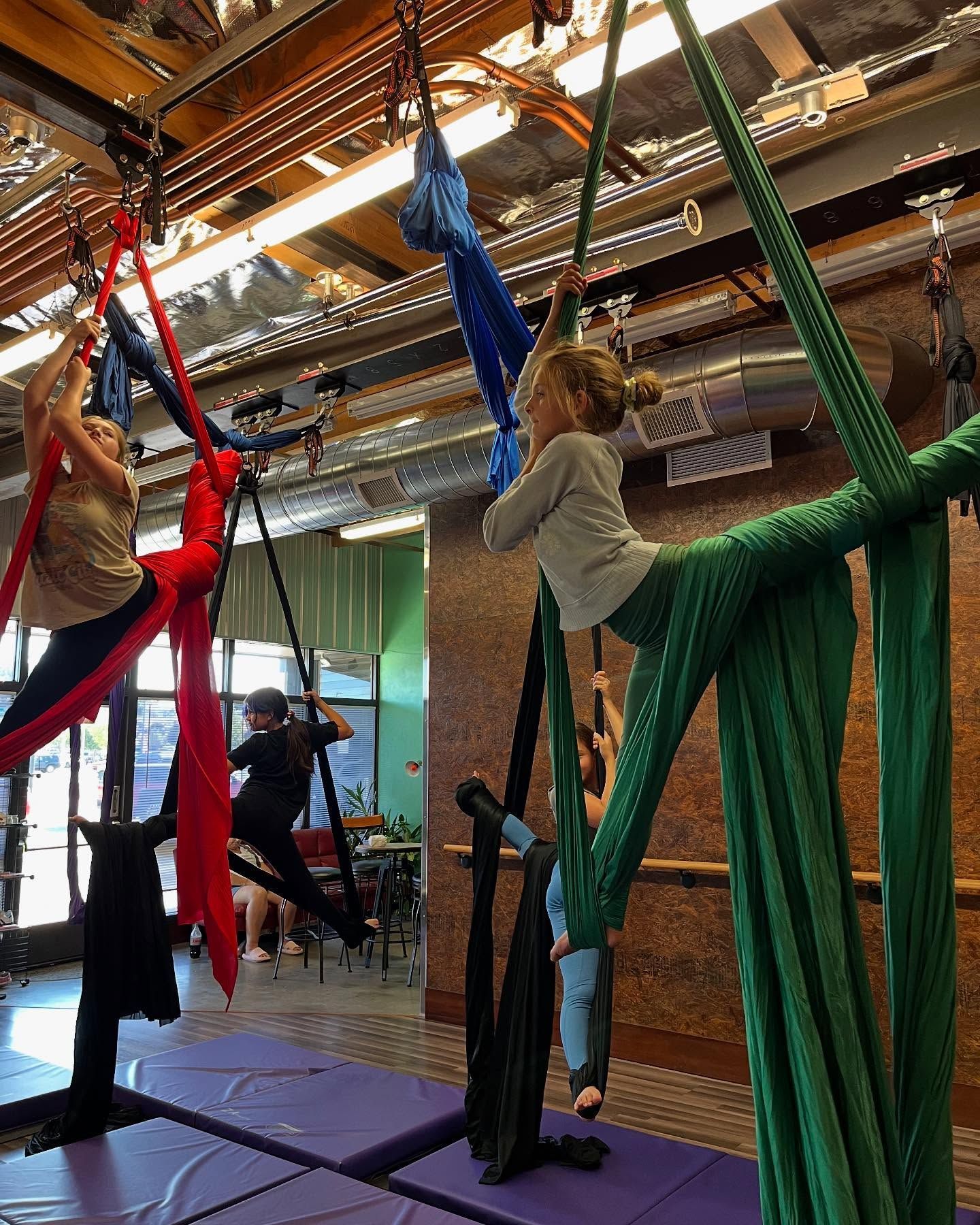 People suspended in colorful aerial silk hammocks in an indoor studio, practicing acrobatics.