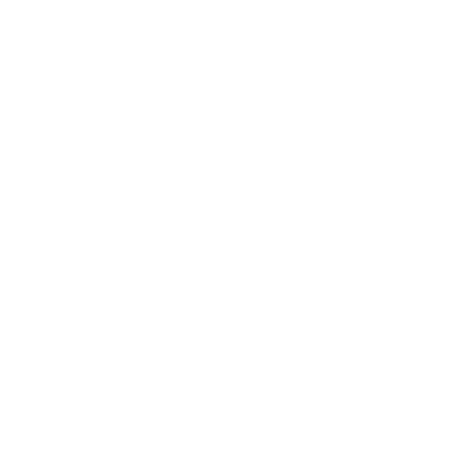 Logo | Broccolo Automotive