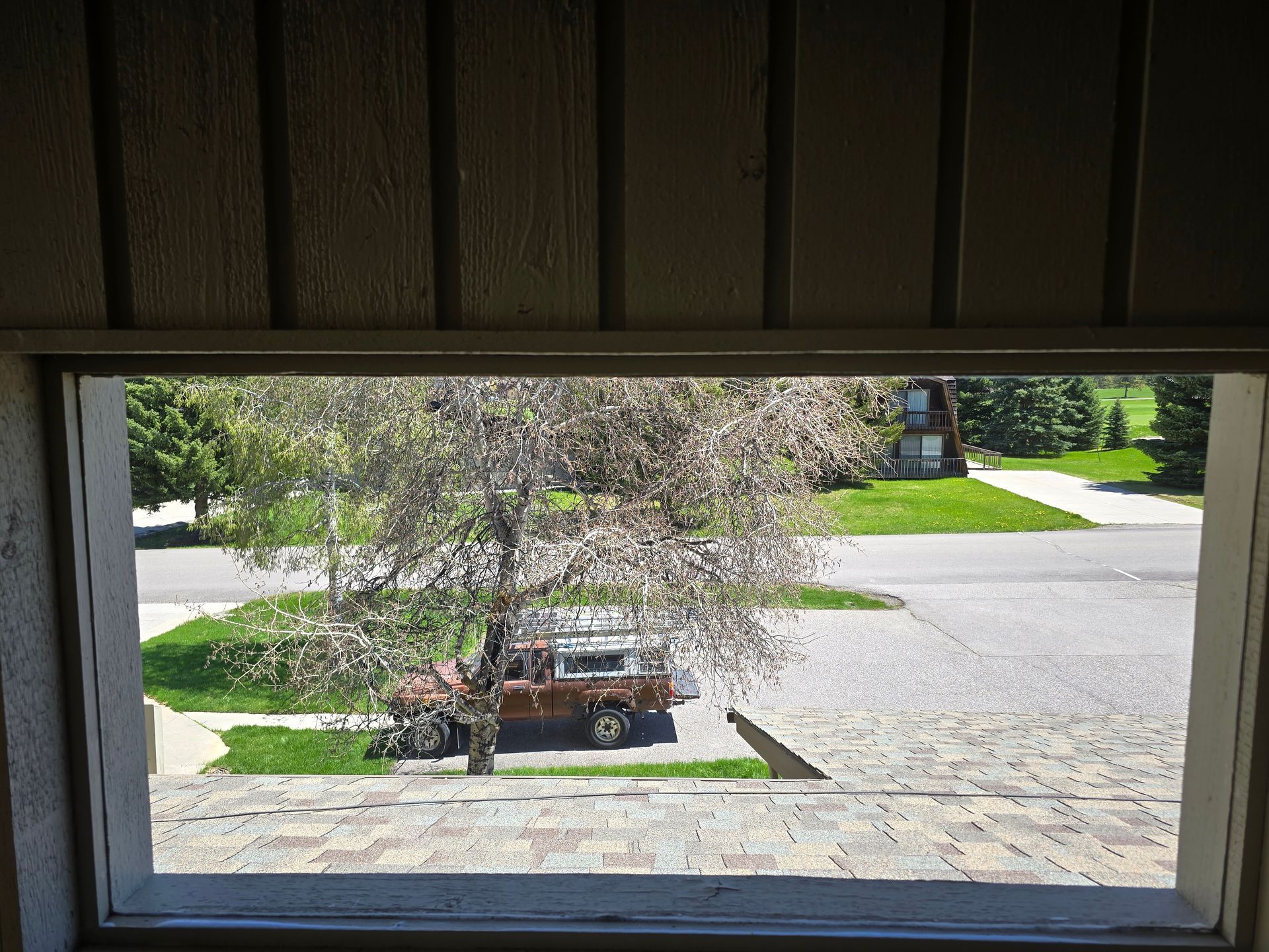 A truck is parked on the side of the road behind a tree