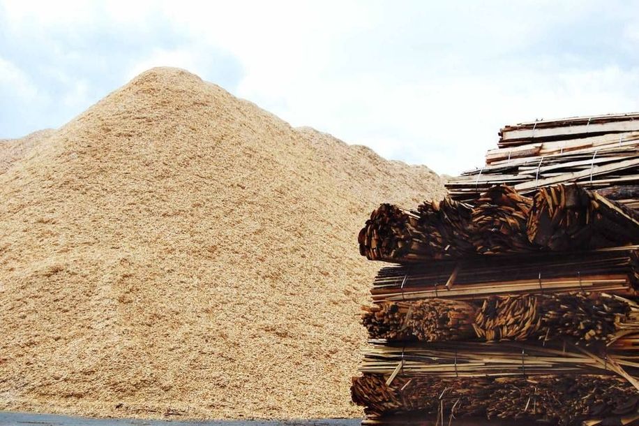 softwood chips