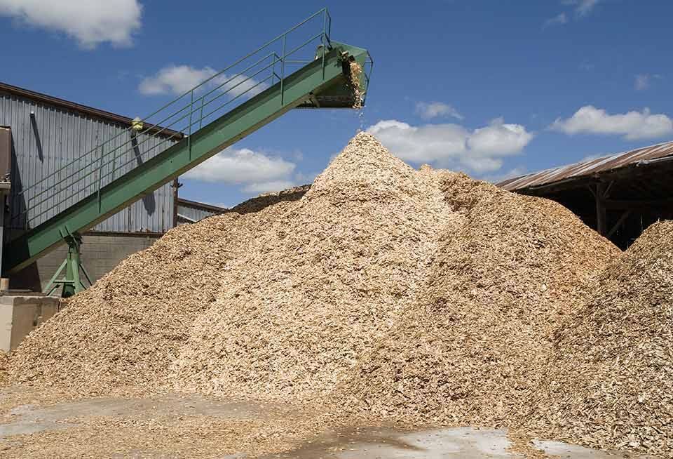 sawmill chip