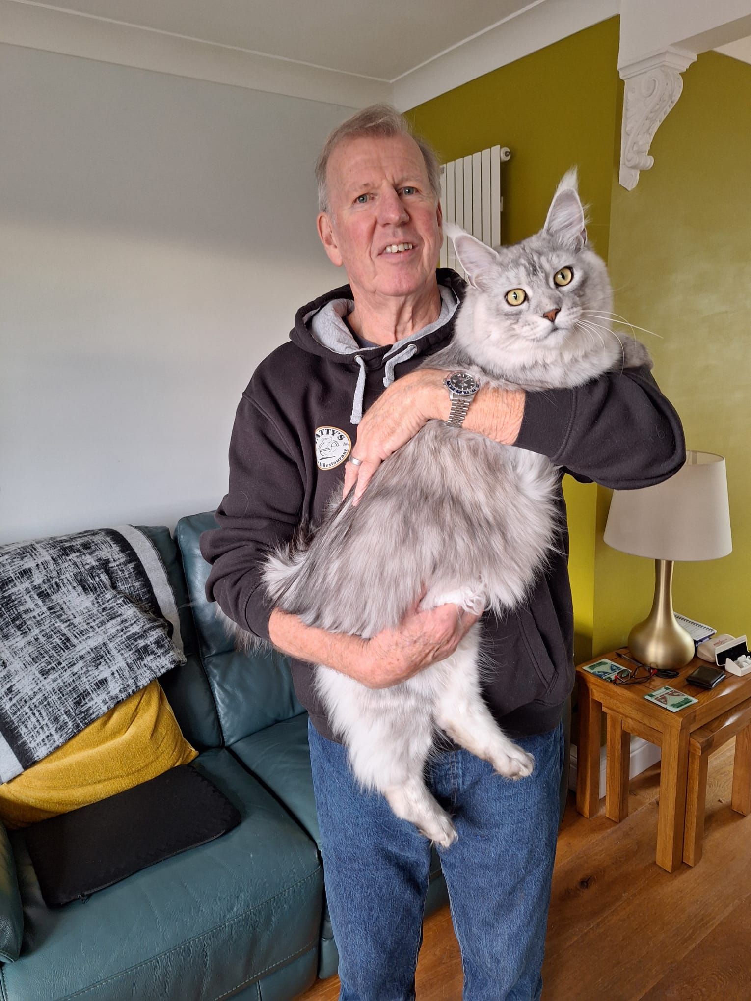 maine coon