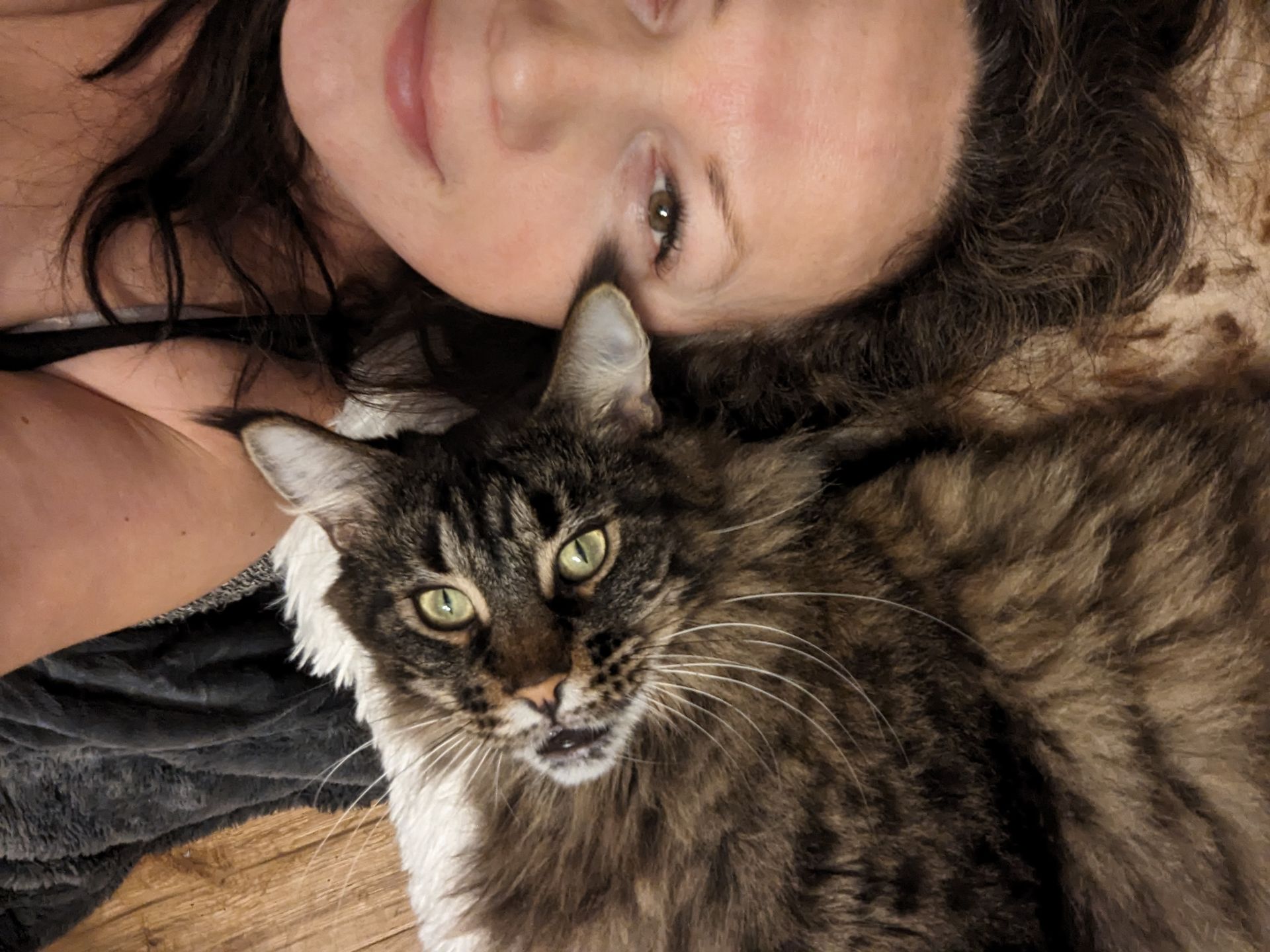 Fluffy Cat