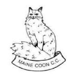 maine coon cats