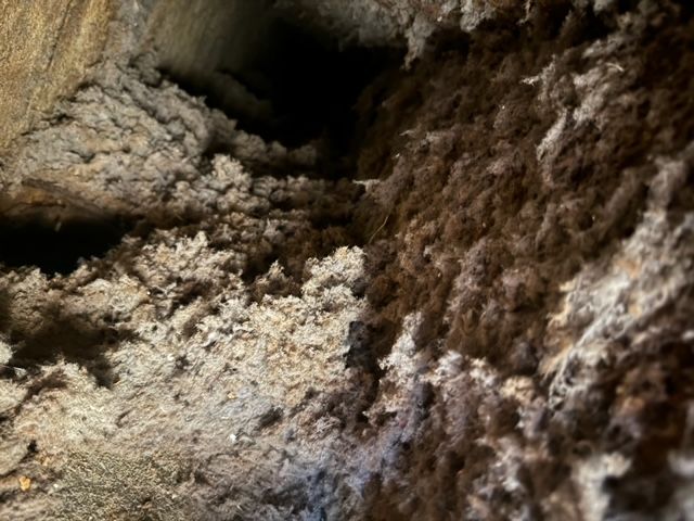 Filthy Air Duct — Springfield, MA — Advanced Air Quality, Inc.