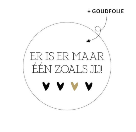 Sticker | Er is er maar één zoals jij | 5 stuks
