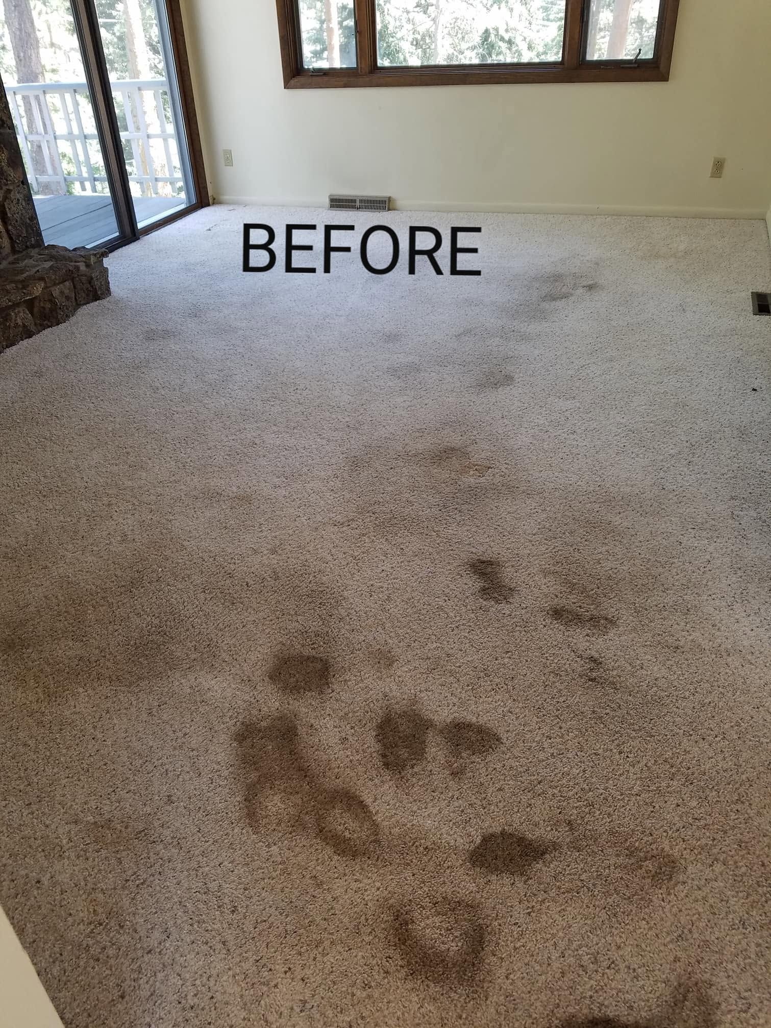 Carpeted living room floor with dark stains and “BEFORE” text near the center.