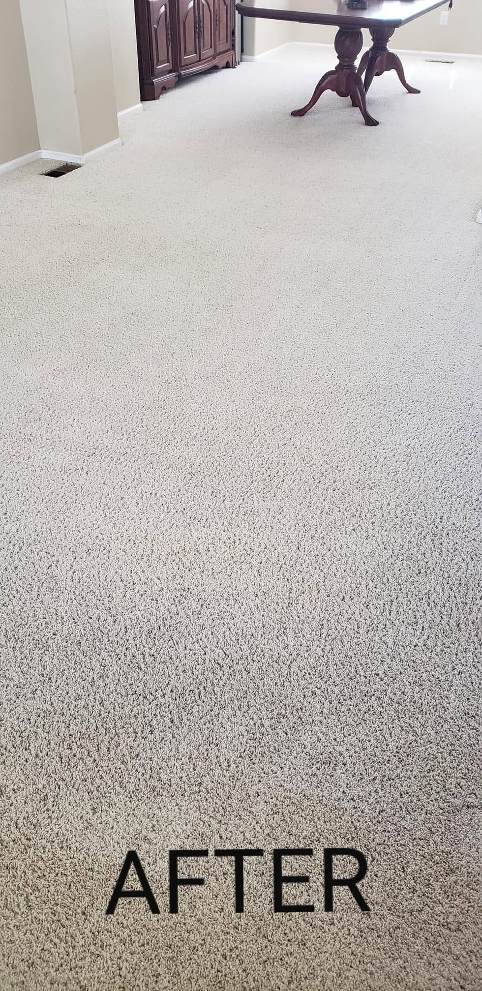 Carpeted hallway with a dog near the top right; “AFTER” text at the bottom.