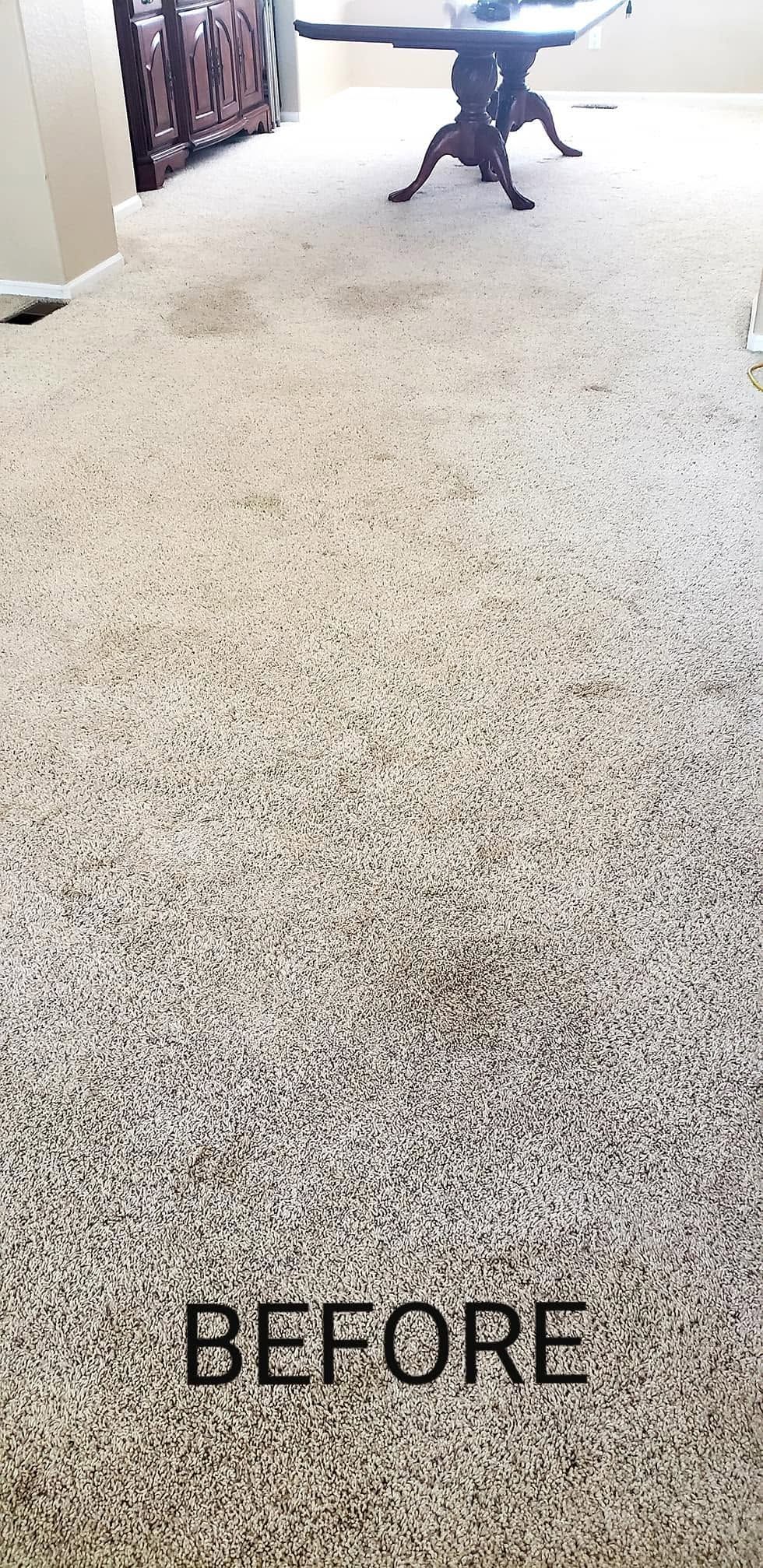 Carpeted room with a person standing in the distance, labeled “BEFORE” at the bottom.