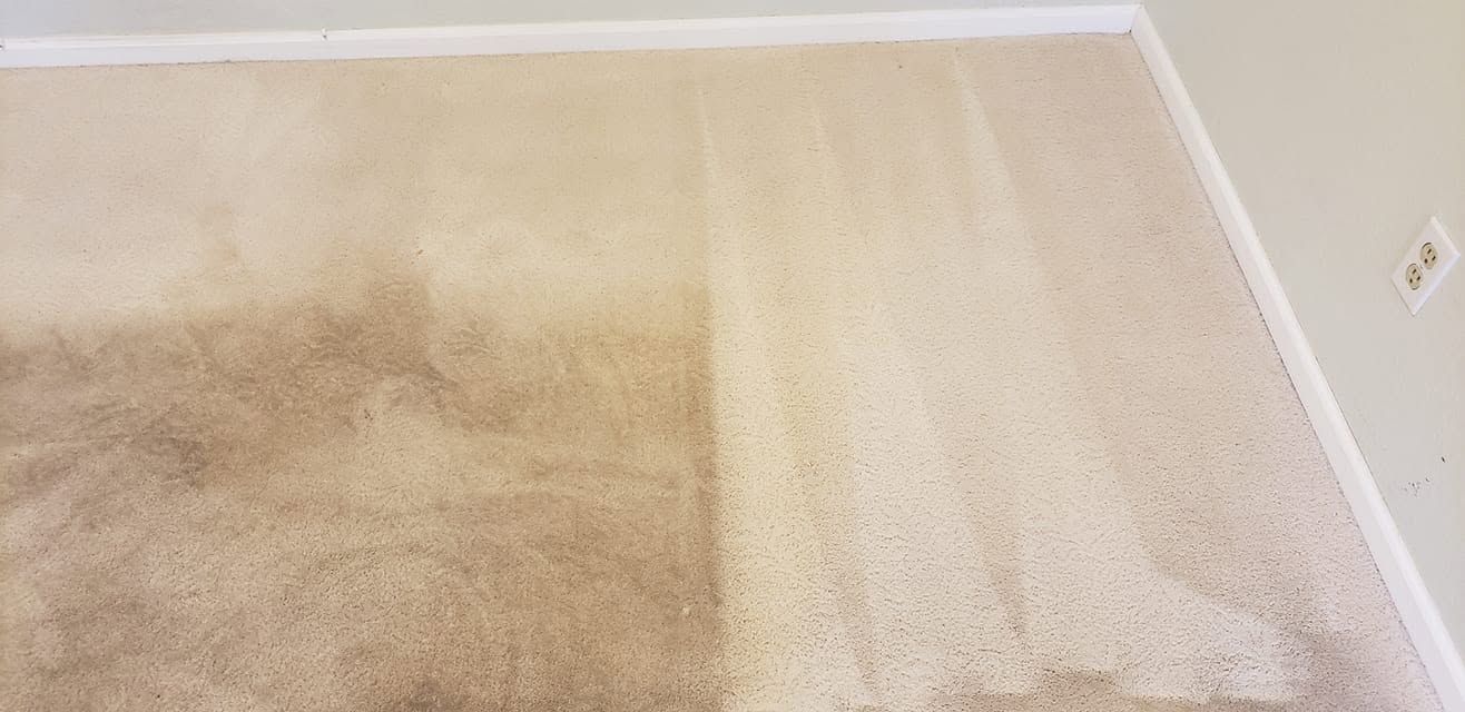 Water-stained beige carpet with a large dark dirty patch along the wall