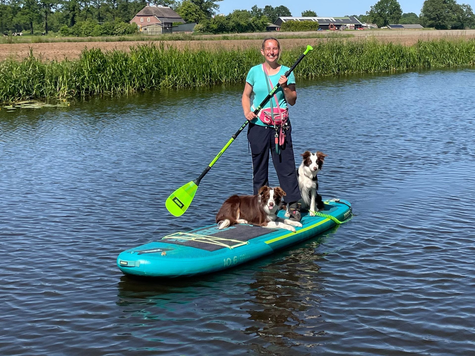 Een persoon staat op een turquoise paddleboard in een rustig kanaal, met een peddel in zijn hand, terwijl twee honden op het board zitten.