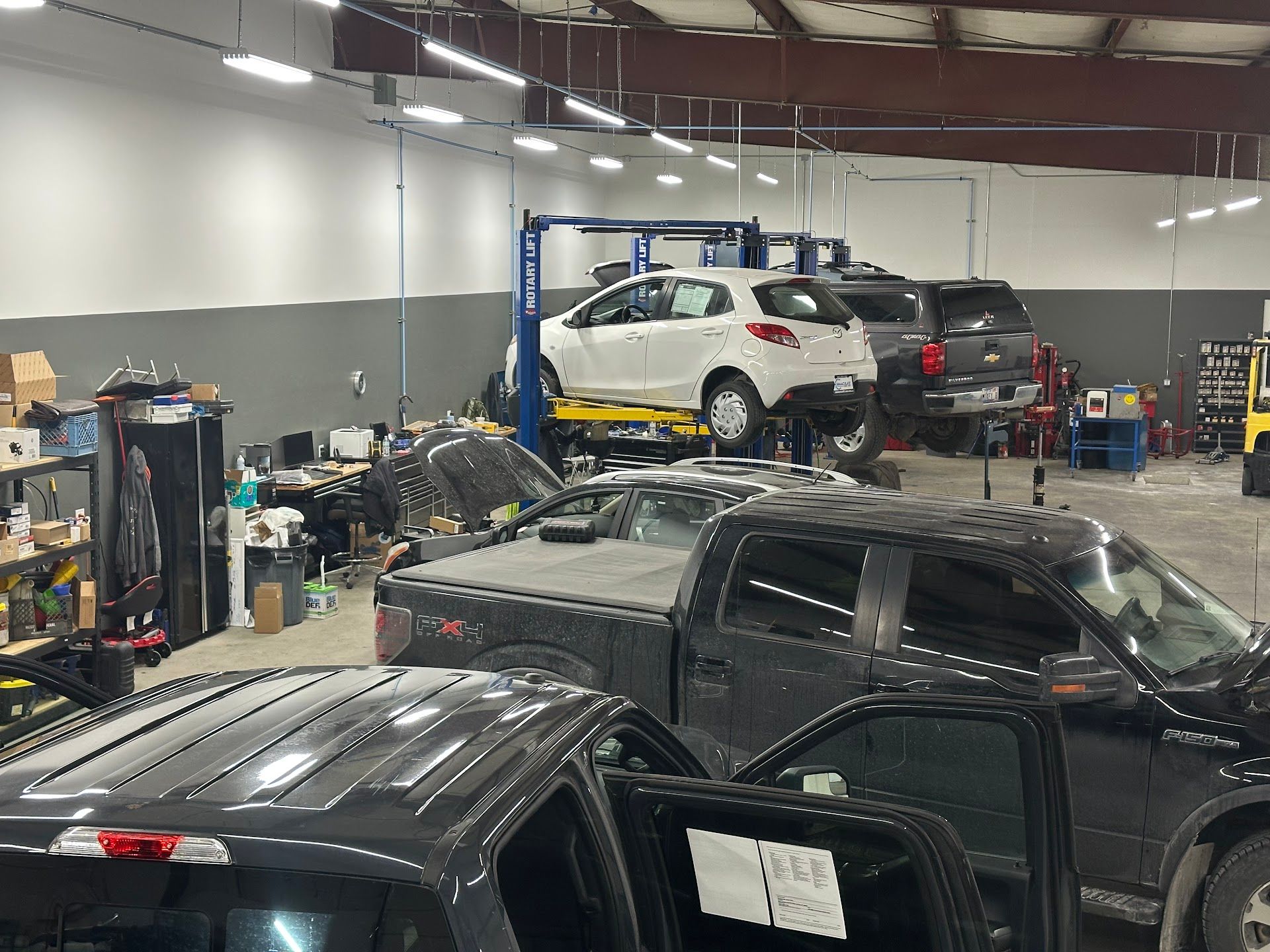 Busy Auto Repair Shop With Multiple Cars On Hydraulic Lifts | Immaculate Auto Repair & Service