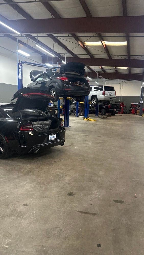 Multiple Vehicles On Lifts Inside Auto Repair Facility | Immaculate Auto Repair & Service