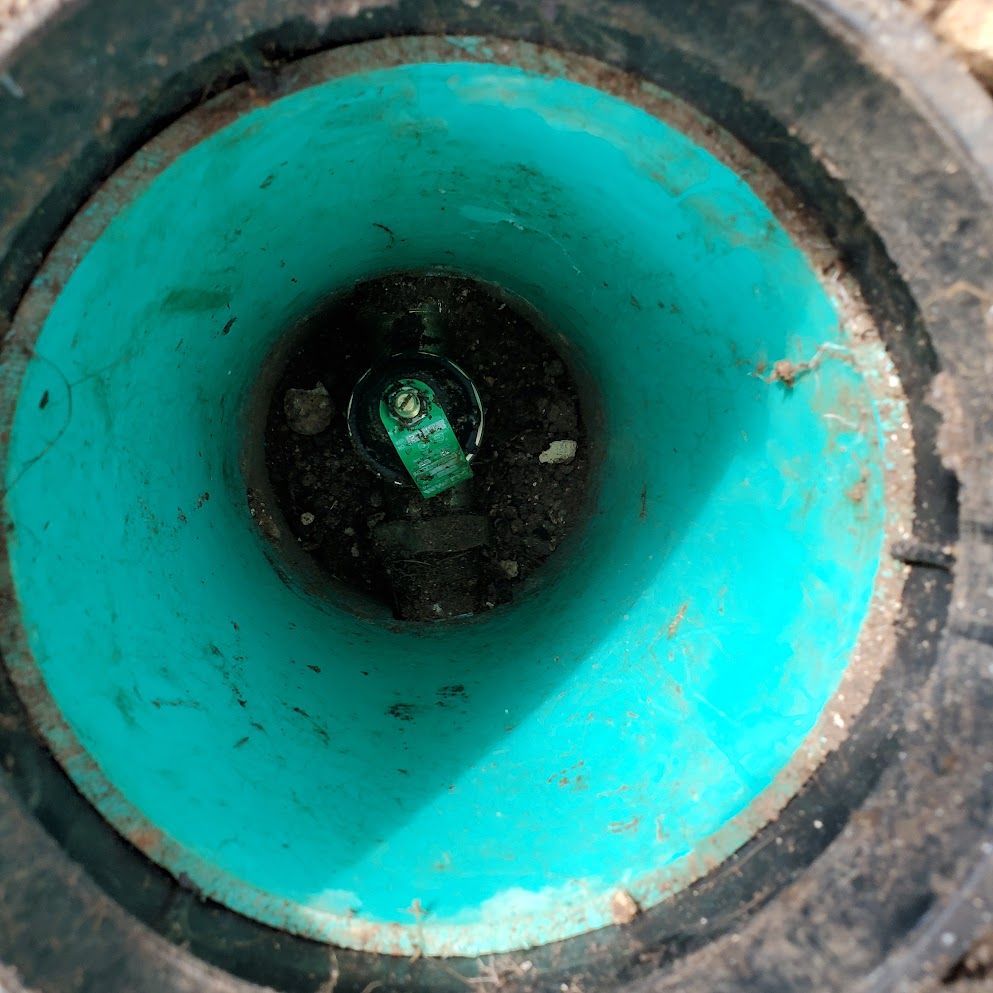 A close up of the inside of a green cone.
