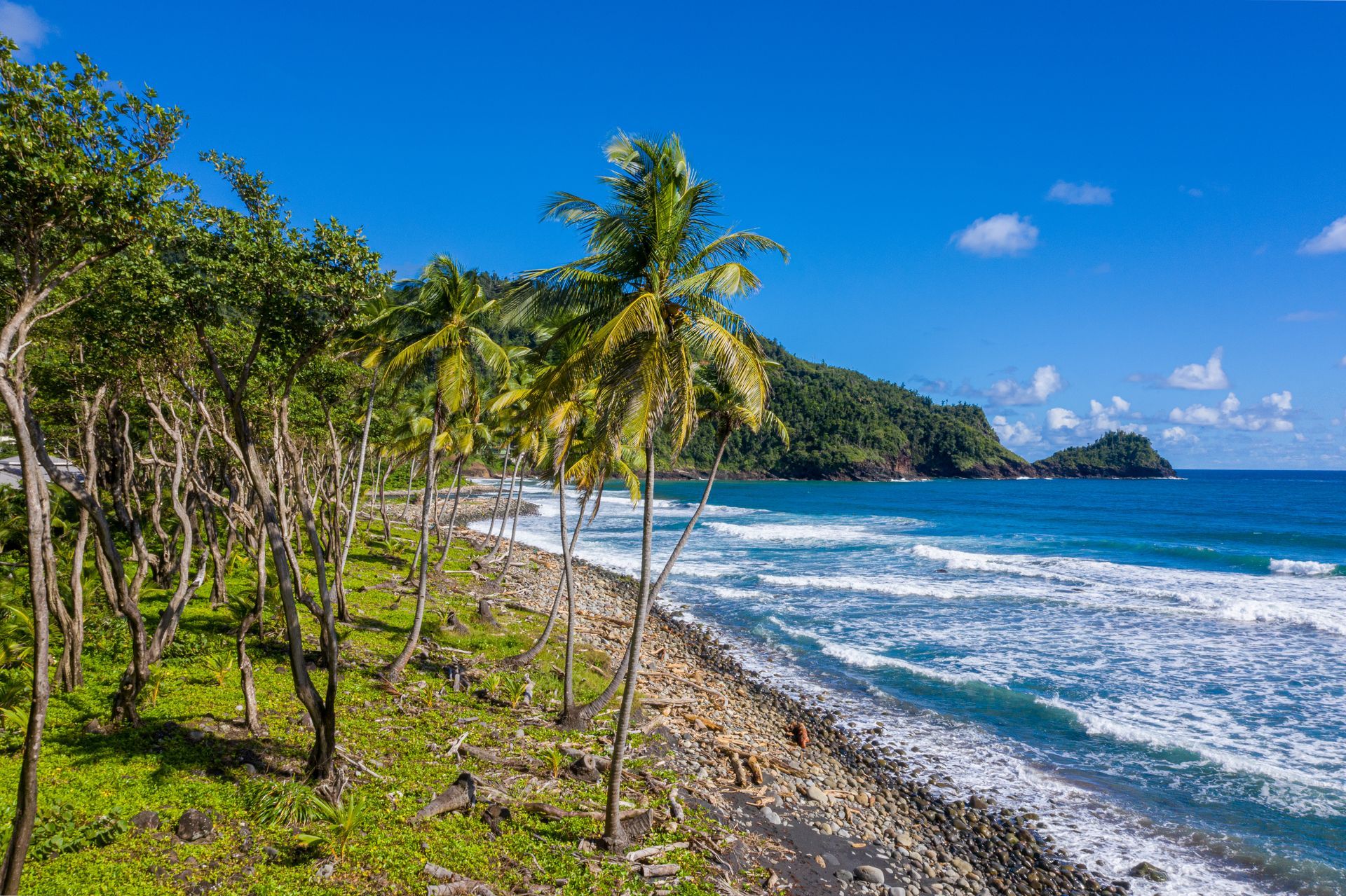 An Experience to remember at Rosalie Bay Resort, Dominica Eco Resort, Caribbean Wellness Retreat, Turtle Nesting Beach, Rosalie River.