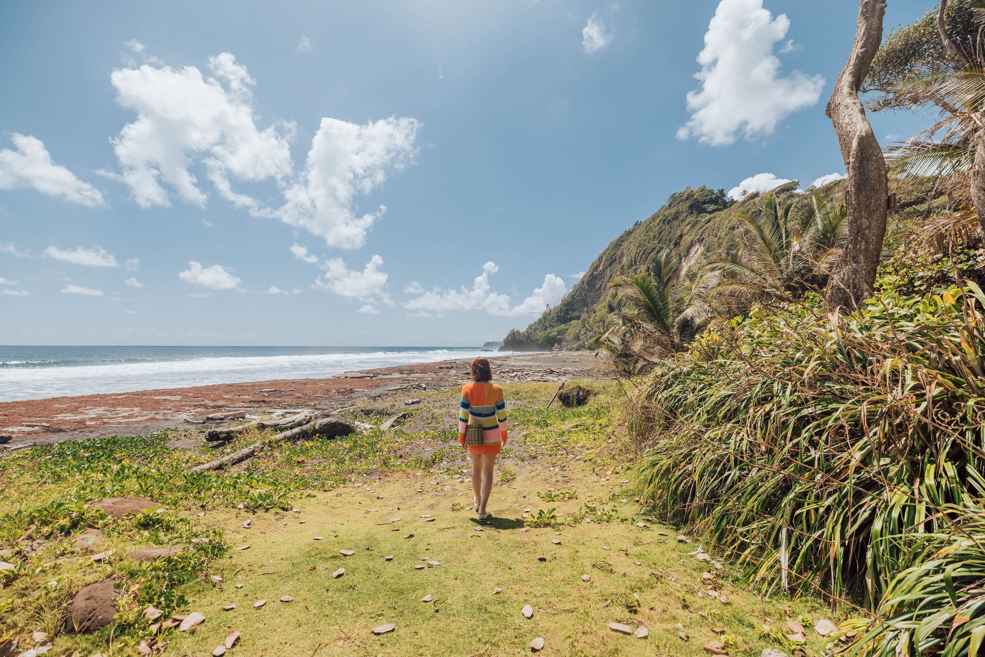 An Experience to remember at Rosalie Bay Resort, Dominica Eco Resort, Caribbean Wellness Retreat, Turtle Nesting Beach, Rosalie River.