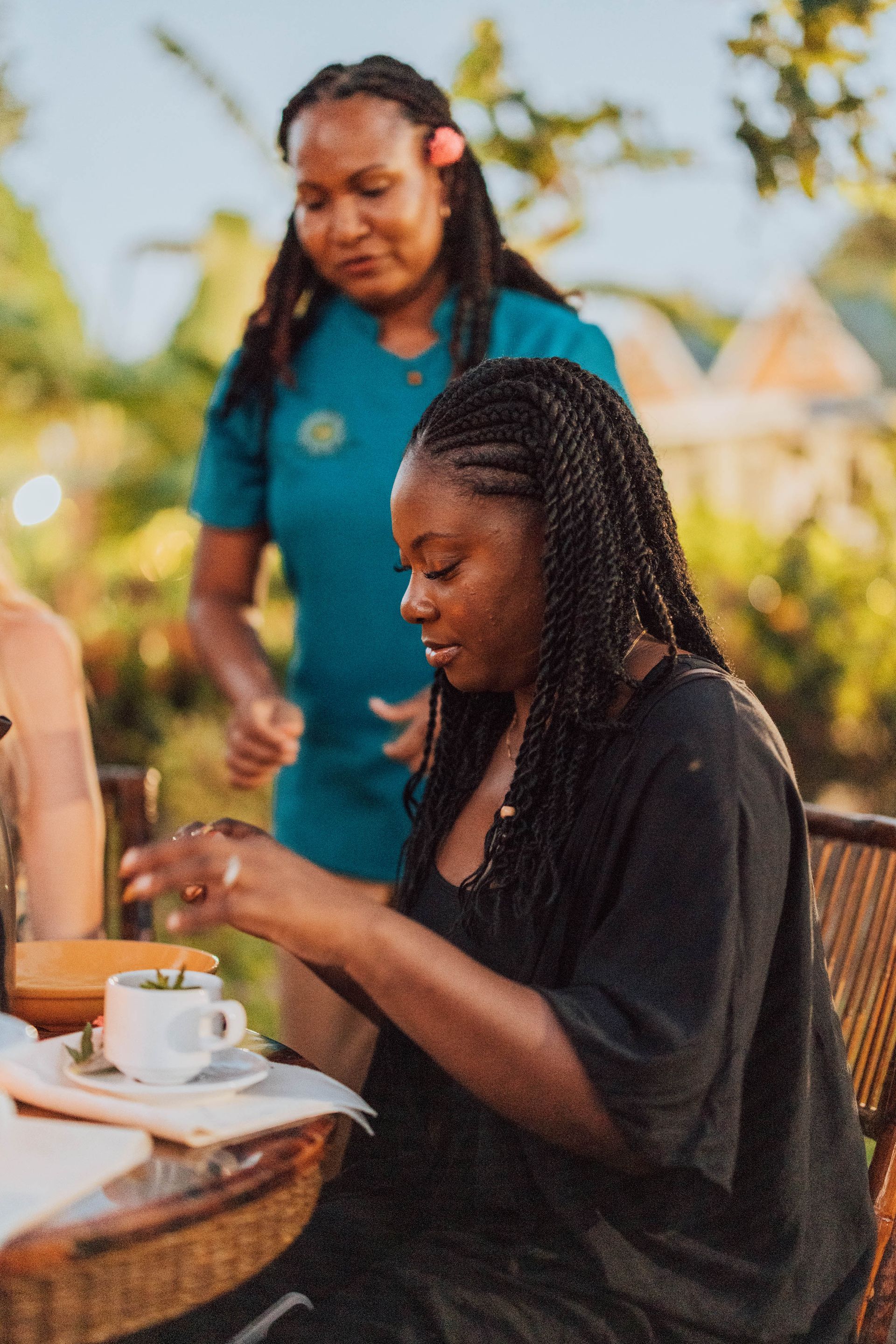 An Experience to remember at Rosalie Bay Resort, Dominica Eco Resort, Caribbean Wellness Retreat, Turtle Nesting Beach, Rosalie River.