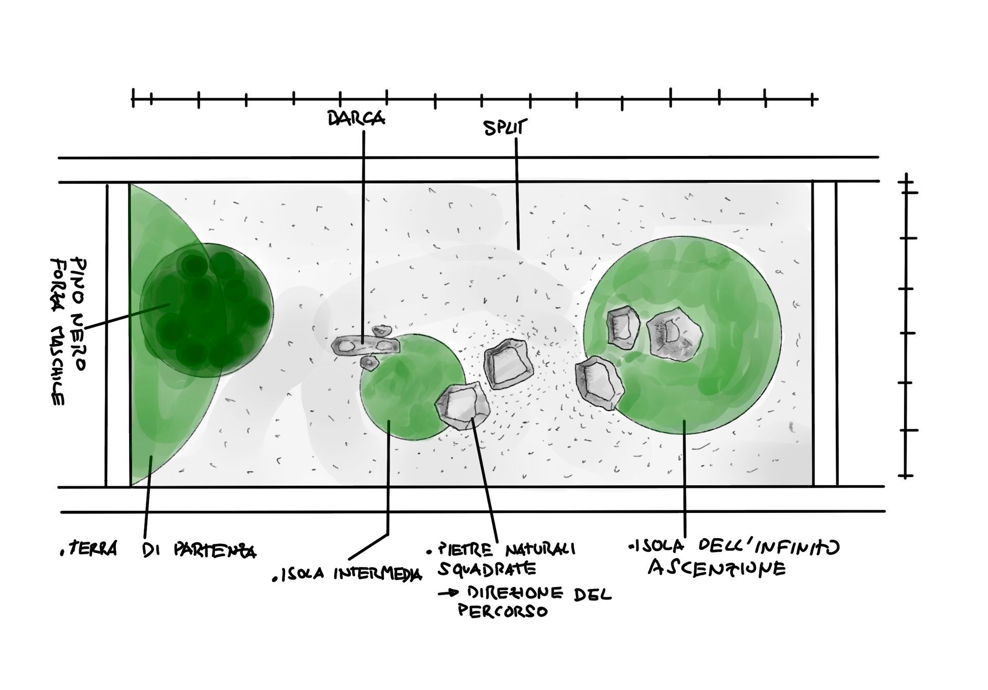 Un disegno di un giardino con alcuni alberi etichettati