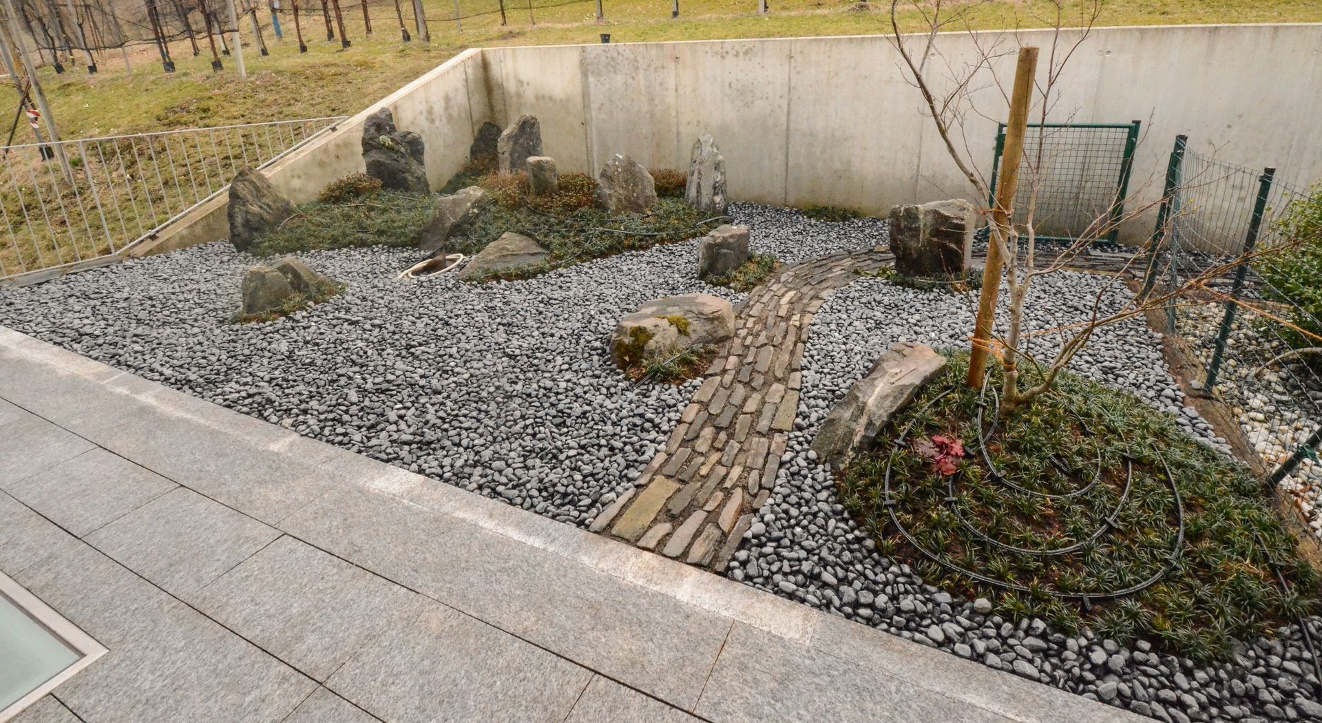 Un giardino con un sacco di rocce e piante al suo interno
