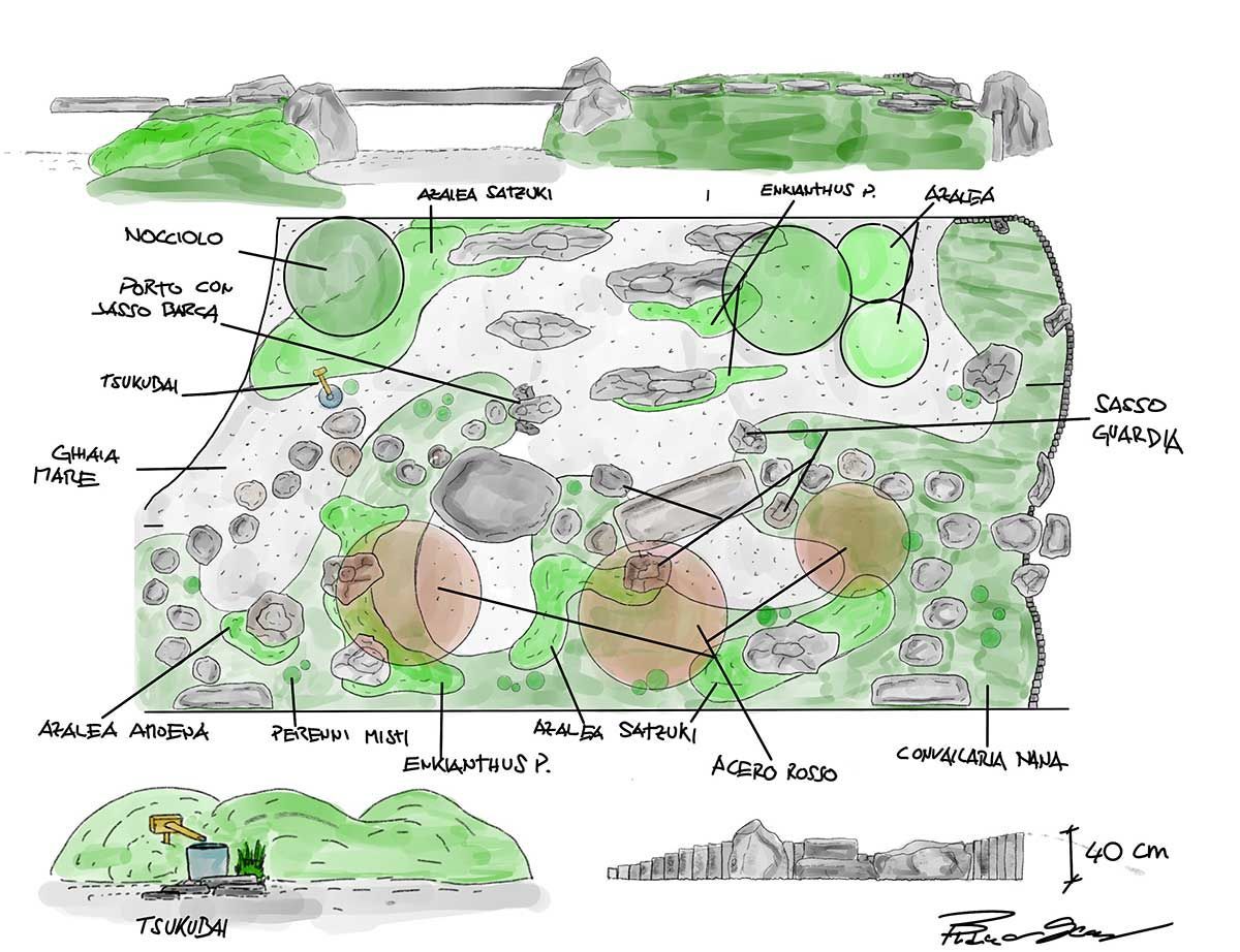 Un disegno di un giardino energetico con molte piante e rocce