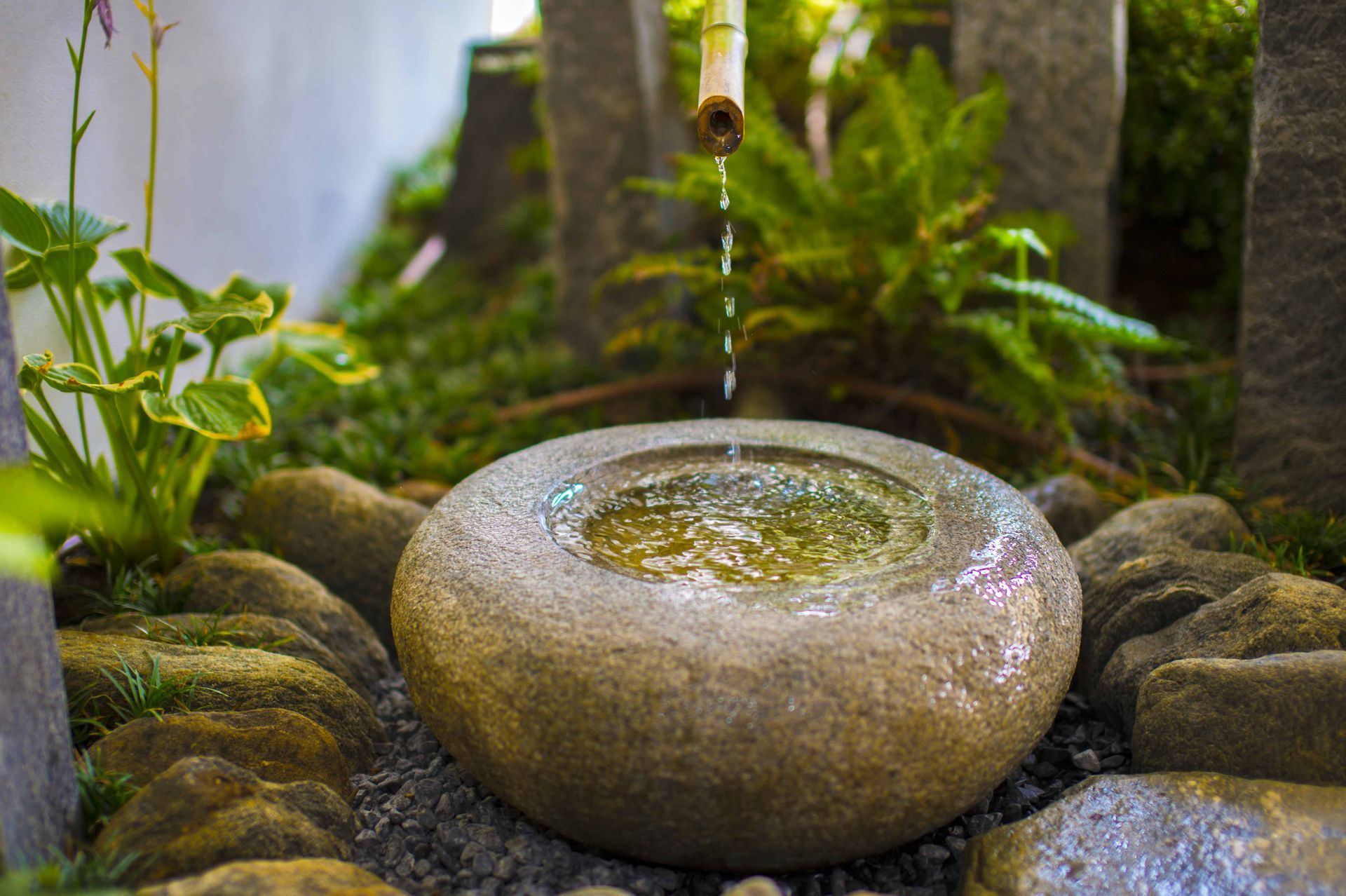 Una fontana d'acqua è circondata da rocce e piante in un giardino.