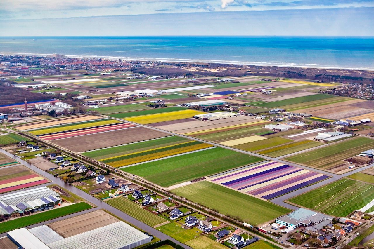 Luchtfoto van kleurrijke landbouwvelden en kassen langs de kustlijn en een stadje.
