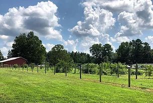 Pilot Farm