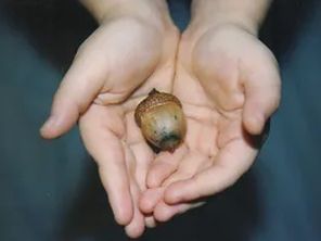 Benevolent Fund
