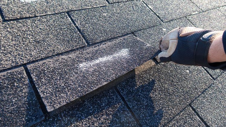 Gloved hand lifting a damaged asphalt shingle on a roof, showing white granular wear beneath.