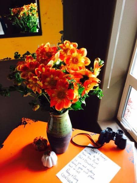 A vase of orange flowers sits on an orange table