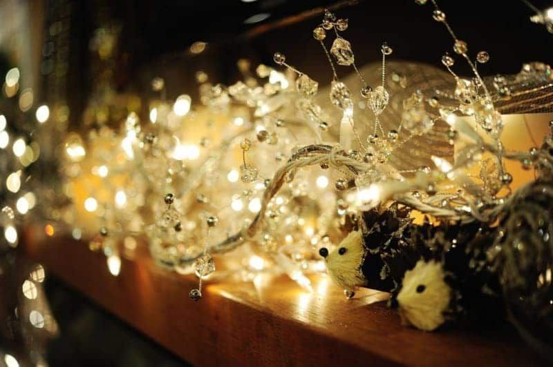 A shelf with christmas lights and a stuffed animal on it.