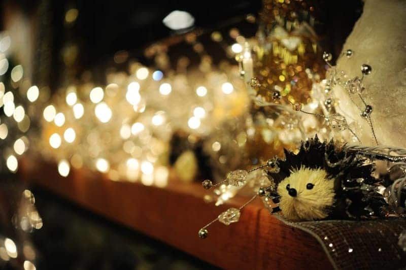 A stuffed hedgehog is sitting on a shelf with christmas lights in the background.