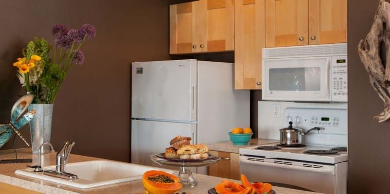 A kitchen with a sink , stove , refrigerator and microwave.