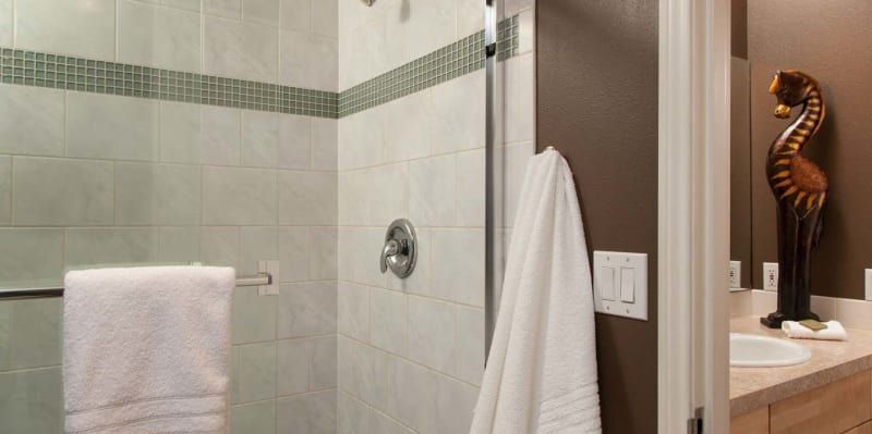 A bathroom with a walk in shower and a sink.