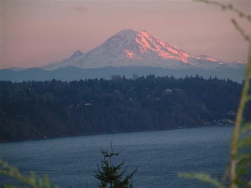 A mountain is visible over a body of water with trees in the foreground.