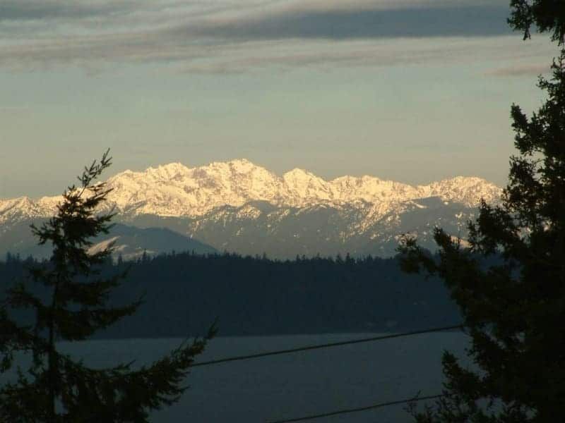 A view of a snowy mountain range with trees in the foreground