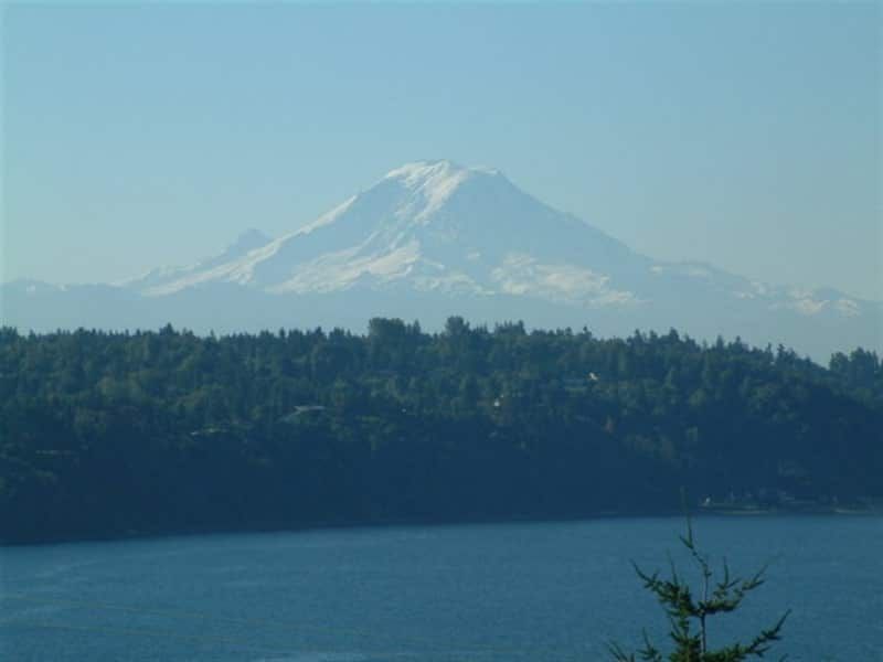 A mountain is visible over a lake with trees in the foreground