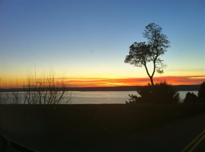 A sunset over a body of water with a tree in the foreground