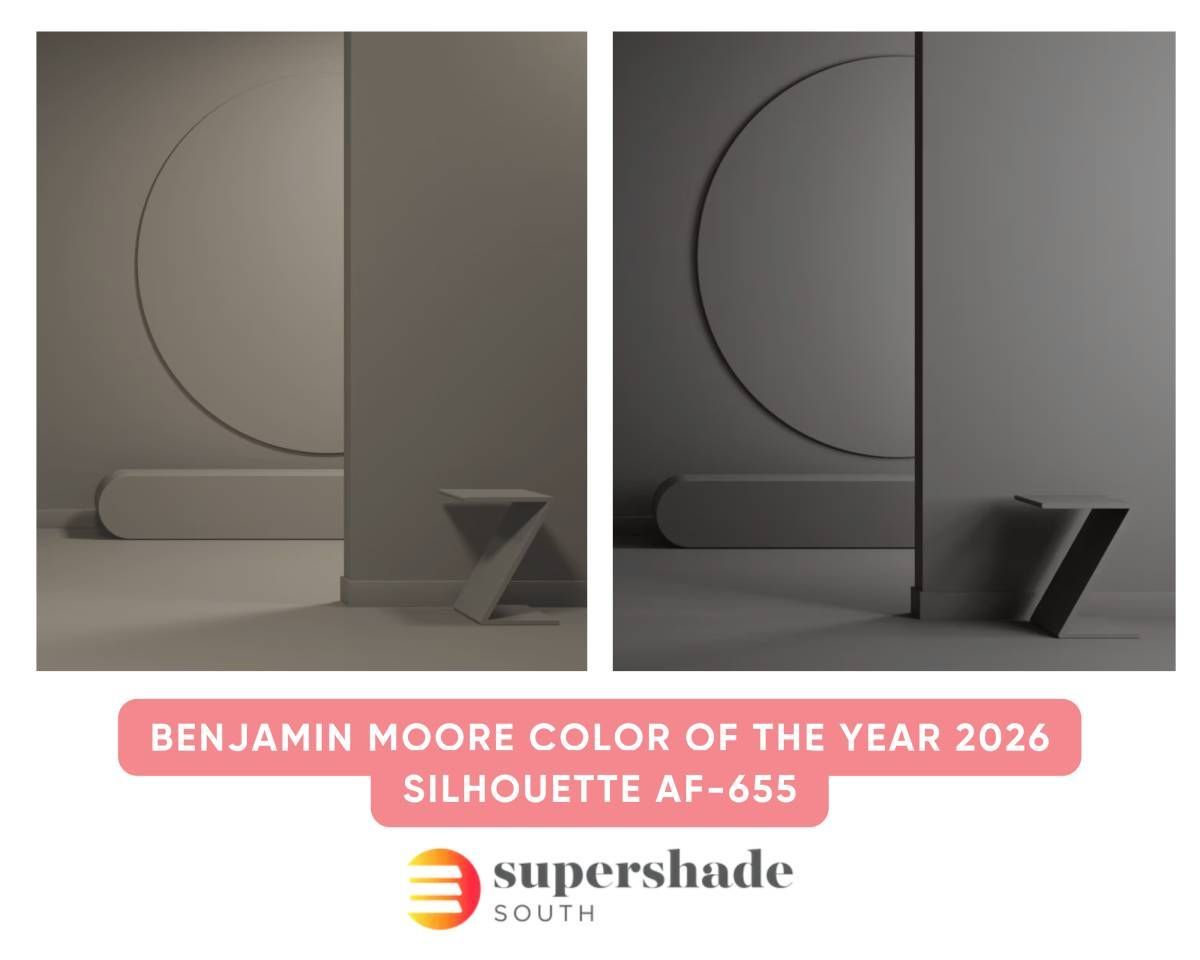 Benjamin Moore Color of the Year 2026 Silhouette AF-655 on a wall with multiple lighting effects.