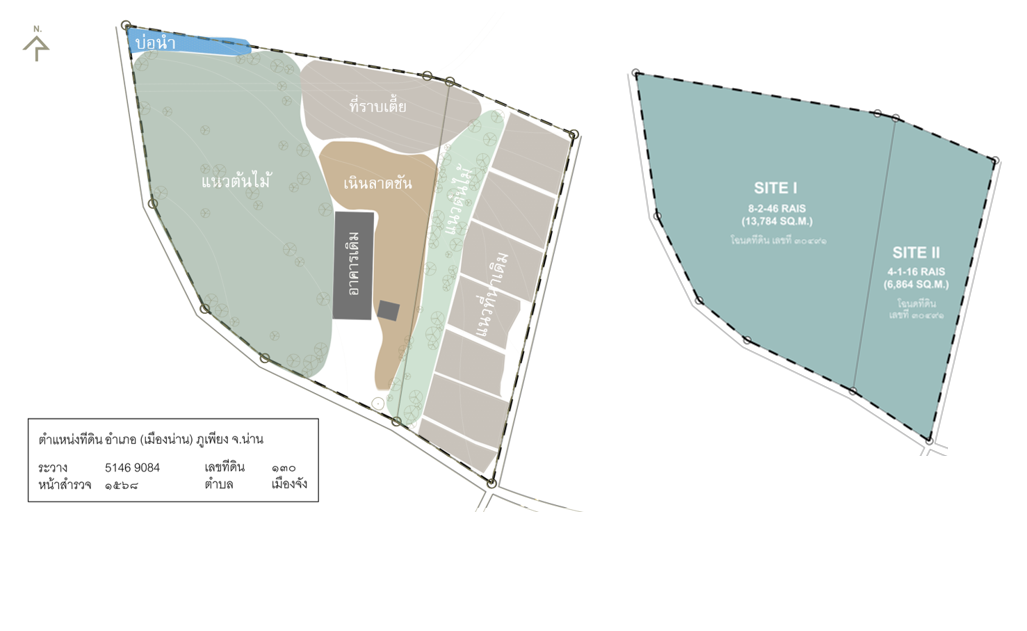 site analysis