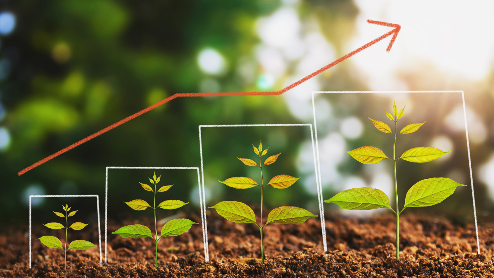 a graph of plants growing in the dirt with an arrow pointing up .