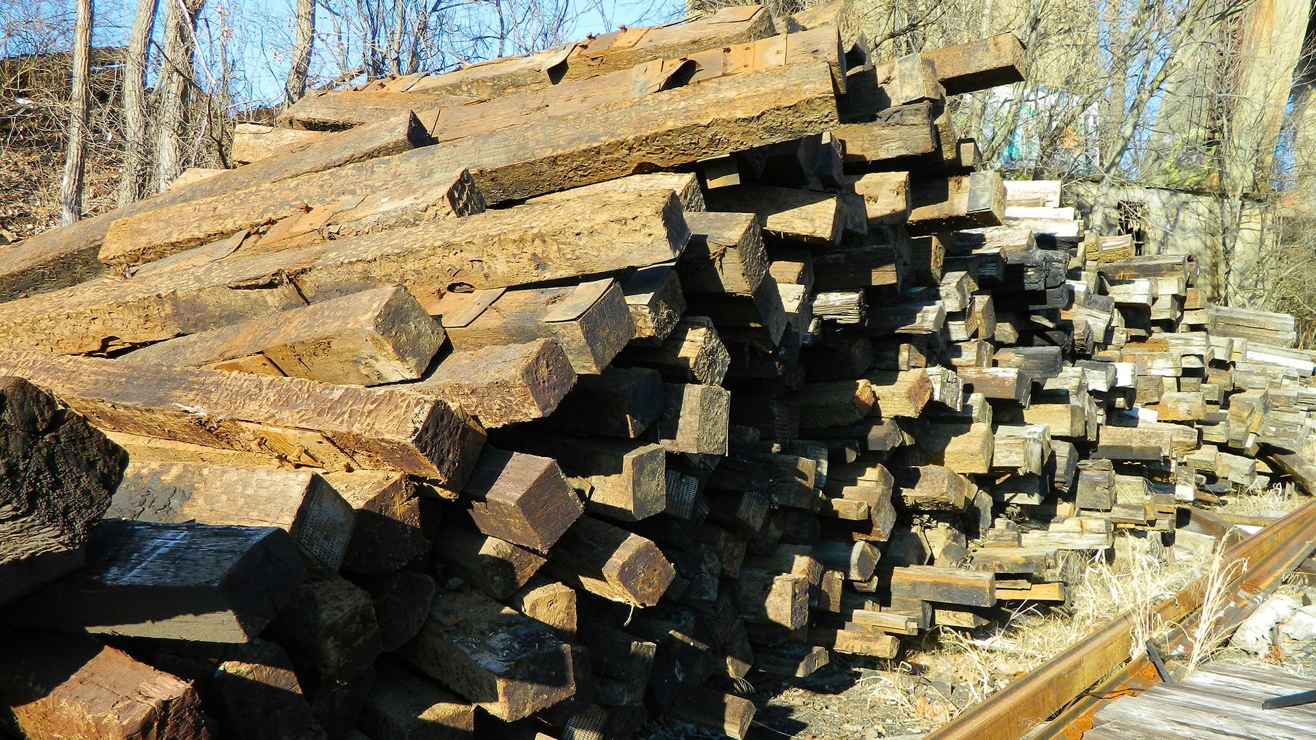 Pile of Wood