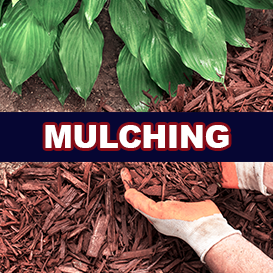 Mulching The Curb Guy Mr Curber Landscaping Arkansas