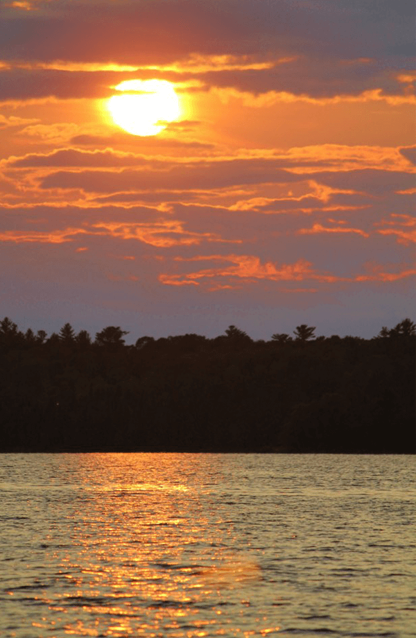 Sunset over a lake; orange and gold sky, dark silhouette of trees, water reflecting the light.