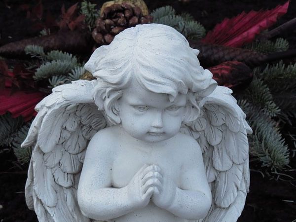 White cherub statue with folded hands and feathered wings, surrounded by pine branches.
