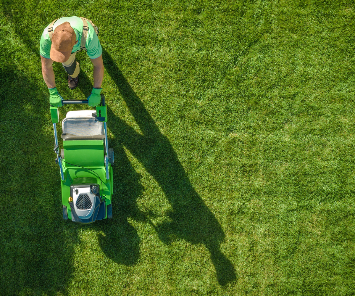 Person mowing a green lawn with a green lawnmower, casting a long shadow.