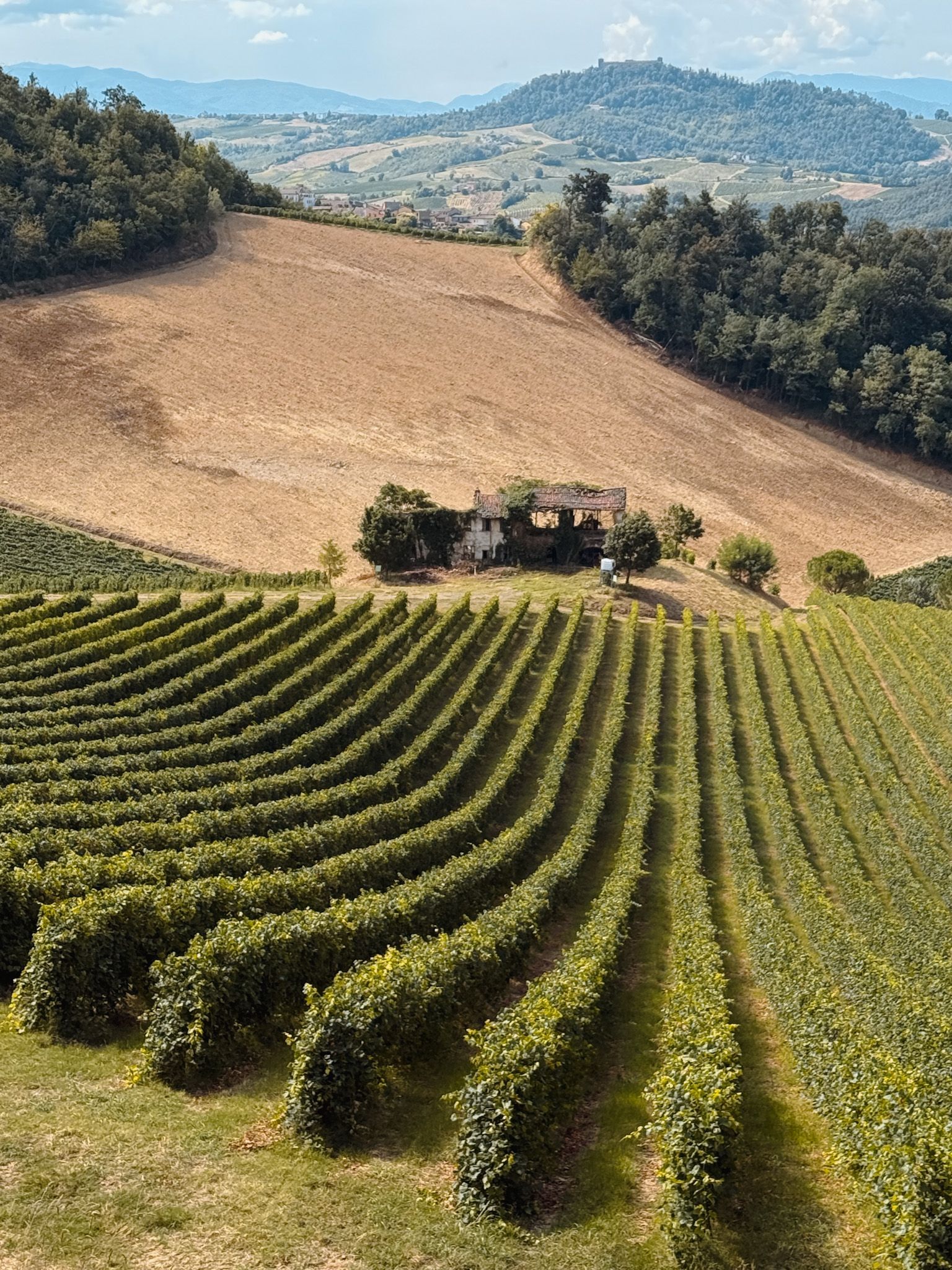 Mornico Losana Winefields